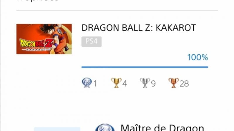 Platine kakarot