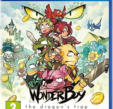 Wonder boy 3: the dragons trap