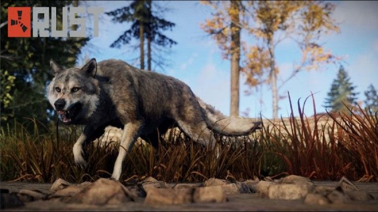 Rust : notre guide de la faune