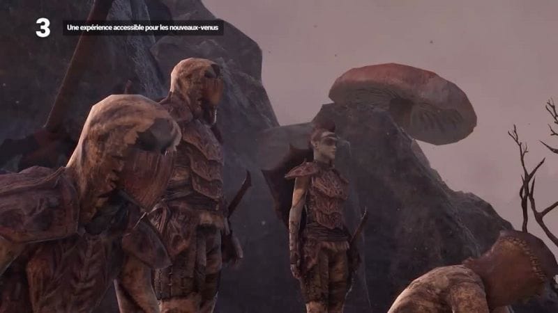Chronique : The Elder Scrolls Online : ce qu'il faut savoir sur le MMORPG de Bethesda - jeuxvideo.com
