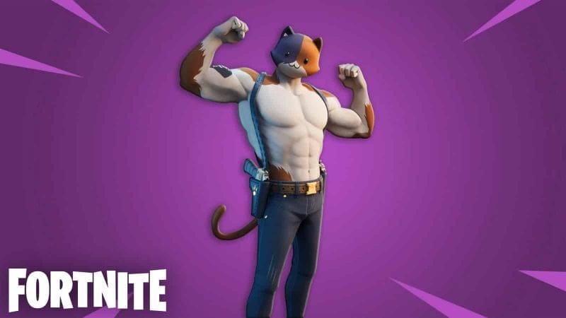 Où collecter sur Fortnite de la nourriture pour chat dans la Saison 7