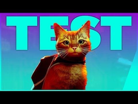 Stray : chat dépote ? 🔵 TEST PS5/PS4/PC