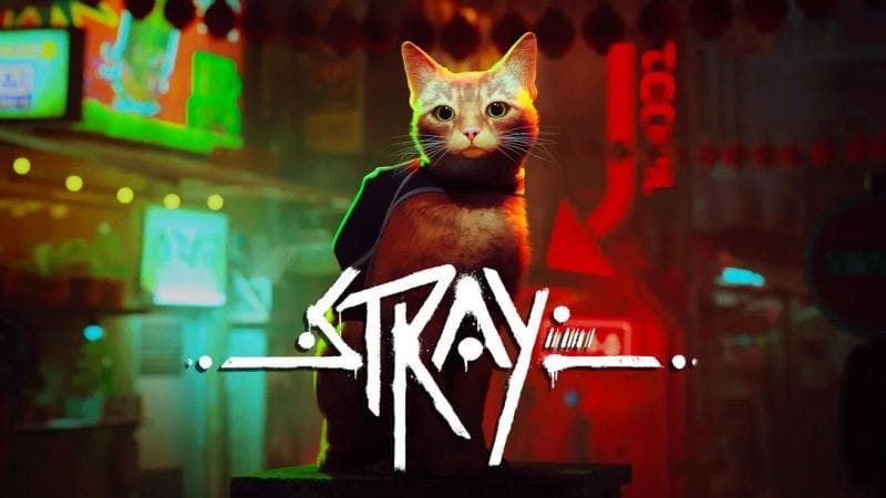 TEST de Stray: Un jeu de chat qui a du chien - Chat par exemple.