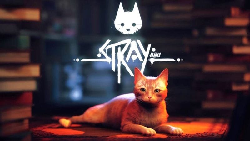 Stray : en moins de 24h, déjà un record vraiment impressionnant - Chat alors !