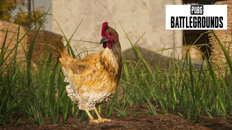 PUBG se la joue Zelda et intègre des poules aux parties !