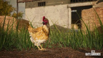 PUBG: Battlegrounds, des poulets et de nouvelles armes dans le patch 14.2