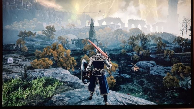 Avis sur la bêta Elden Ring