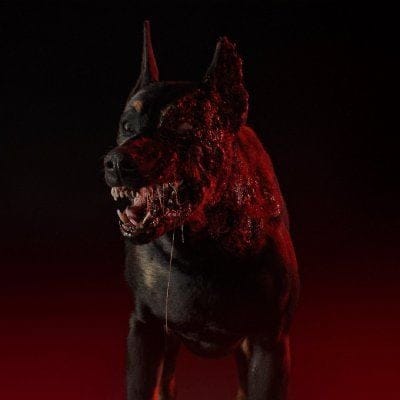 Resident Evil : premiers visuels d'un chien zombie pour la série live-action de Netflix