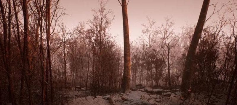 «Abandoned ne sera pas un AAA, revoyez vos attentes»