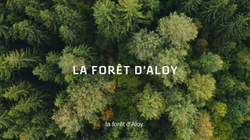 Rejoignez le mouvement " La forêt d'Aloy " !  !