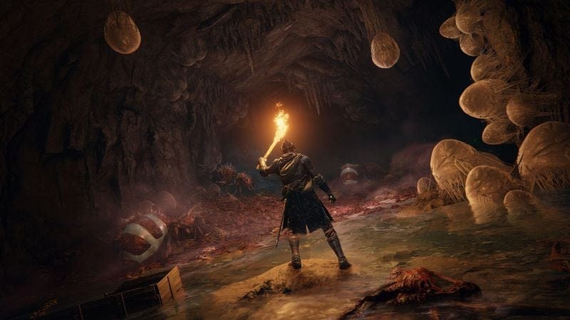 Elden Ring : Un joueur a découvert comment mettre le jeu en pause sur console