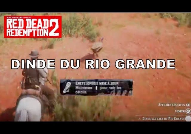 Emplacement de la DINDE DU RIO GRANDE - Red Dead Redemption 2 (PS4)