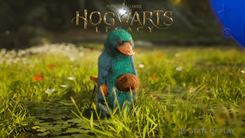 Hogwarts Legacy : il n’y aura pas de microtransactions !