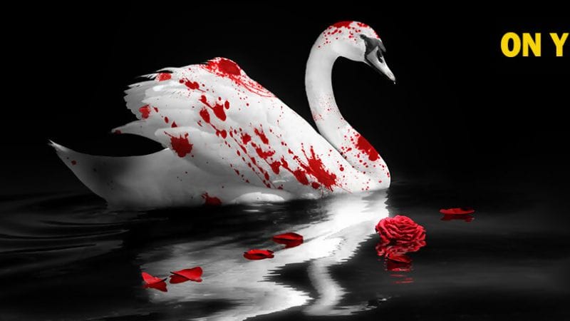 Vampire The Masquerade Swansong : on y a joué, nos impressions sur ce RPG narratif
