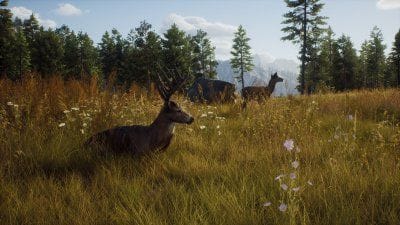 Way of the Hunter : un nouveau jeu de chasse annoncé sur PC, PS5 et Xbox Series X et S
