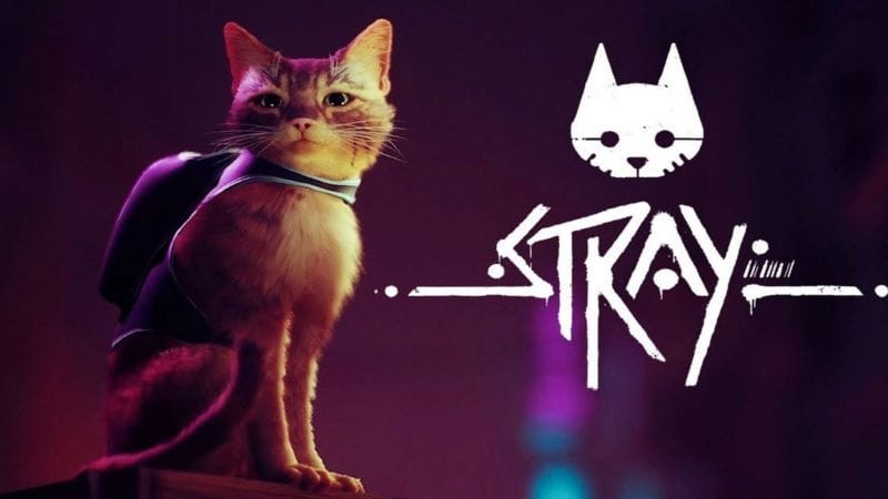 Stray : Le jeu d'aventure où l'on incarne un chat pour bientôt ? - Chat par exemple.