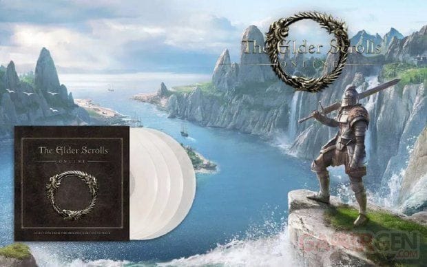 Coffret Vinyle Skyrim