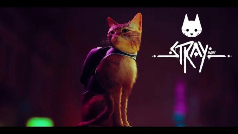 Stray : Le jeu où l'on incarne un chat s'offre une nouvelle fenêtre de sortie !