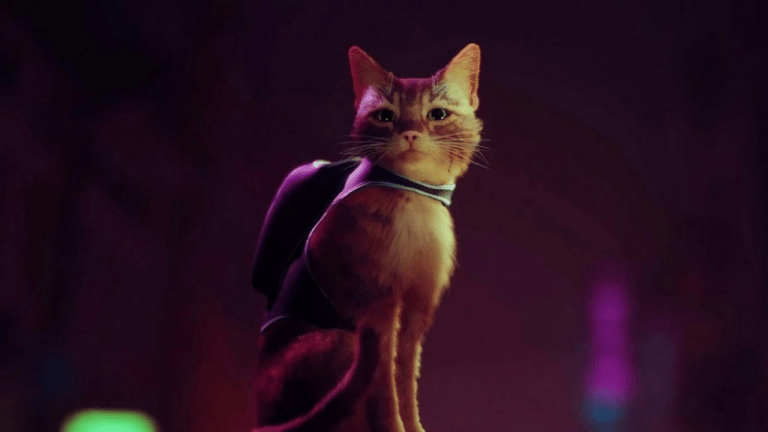 Stray : On a vu le jeu de chat le plus attendu de l'année