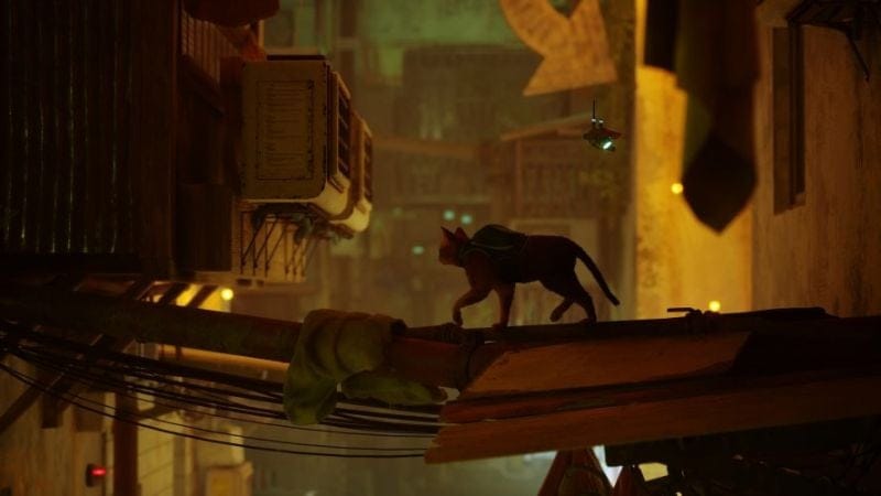 Stray : Une édition physique PS5 est prévue chez iam8bit