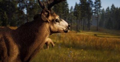 Way of the Hunter : date de sortie et bande-annonce pour le jeu de chasse