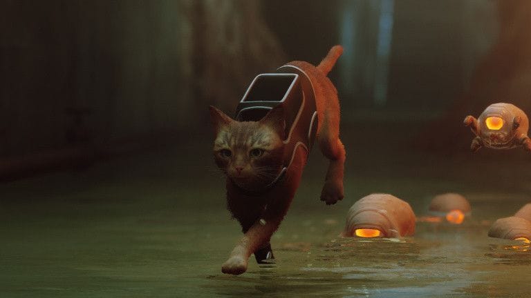 Stray : Exclu PS5 temporaire, gameplay... On fait le point sur le chat le plus mignon de l'année