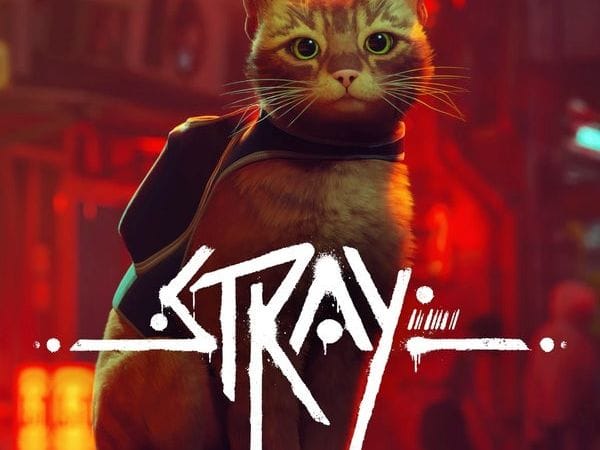 Stray, la bonne nouvelle de cet été