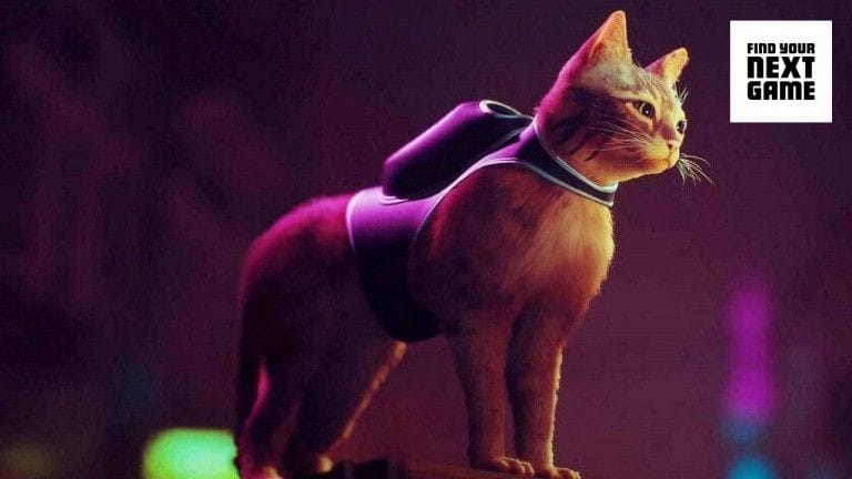 Stray : La version physique sur PS5 livre de nouveaux détails