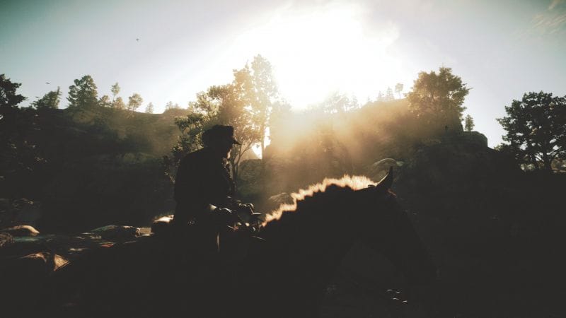 Mode photo Red Dead Redemption 2