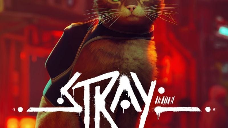 Stray