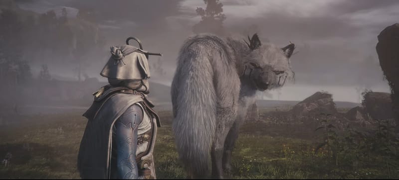 Les créateurs de Warframe annoncent Soulframe