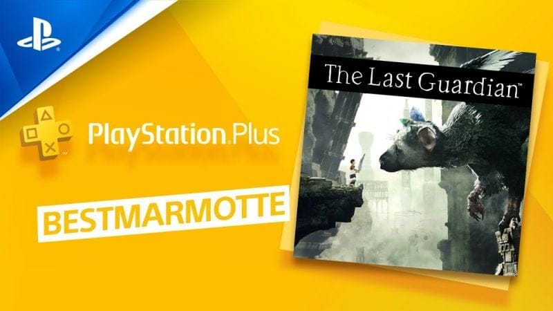 VOD stream Twitch - TRICO DEVIENDRA-T-IL LE MEILLEUR AMI DE @Bestmarmotte ? | PS5