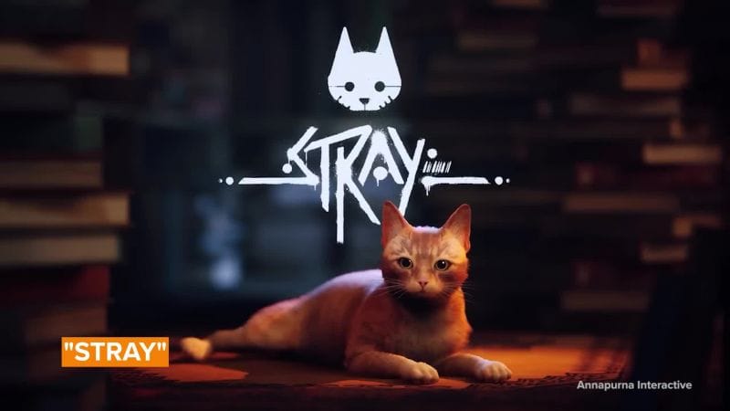 Stray - Stray fait le plein de goodies tout mignons ! - JEU.VIDEO