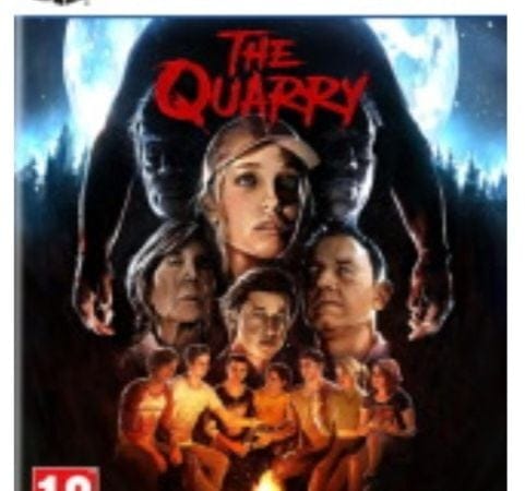 The Quarry à 34,99€