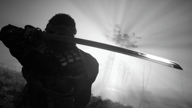 Mode photo Ghost of Tsushima director's cut