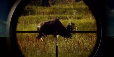Way of the Hunter : les animaux profitent de leurs derniers instants dans une nouvelle bande-annonce