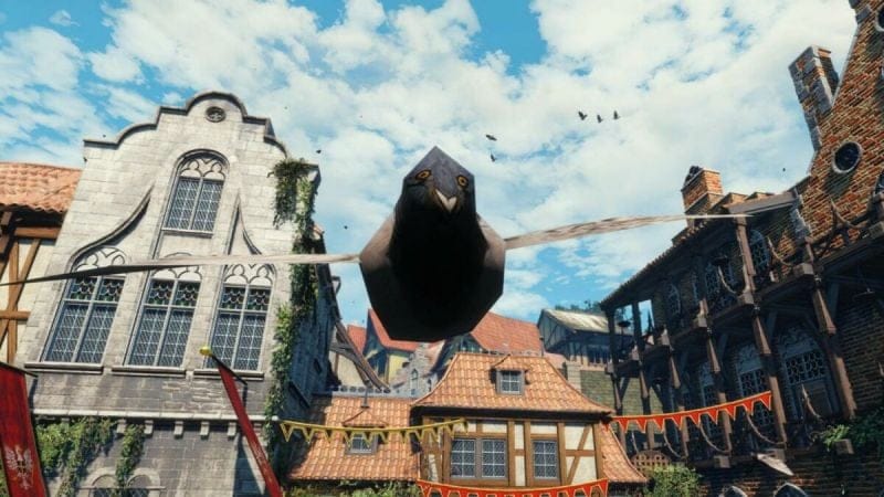 Ce pigeon moche devient l'emblème des joueurs de Witcher 3, les …