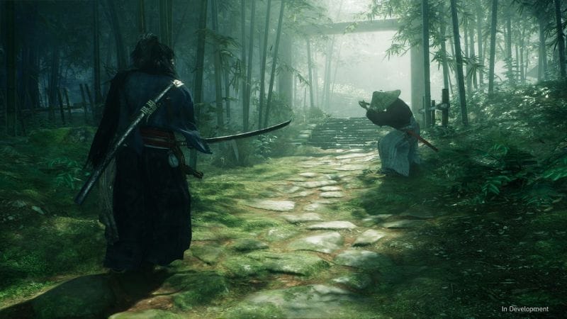 Rise of the Ronin: une nouvelle exclusivité PS5 signée Team Nin ...