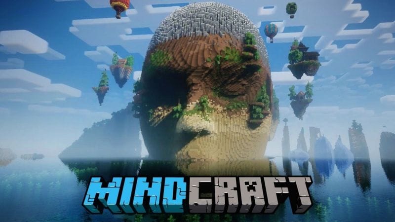 MINDCRAFT : La première map Minecraft qui permet de détecter les signes de dyslexie !