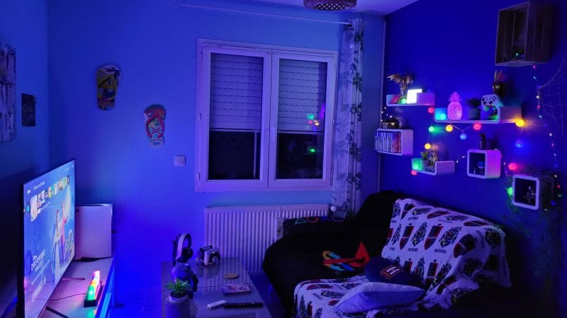 SETUP