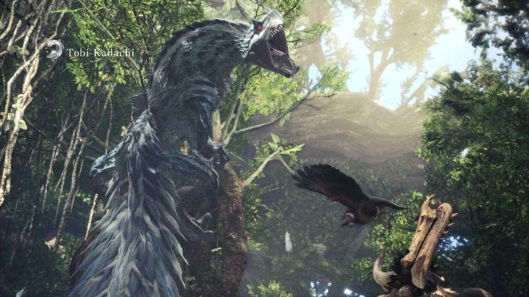 Tobi-Kadachi - Guide Monster Hunter World - jeuxvideo.com