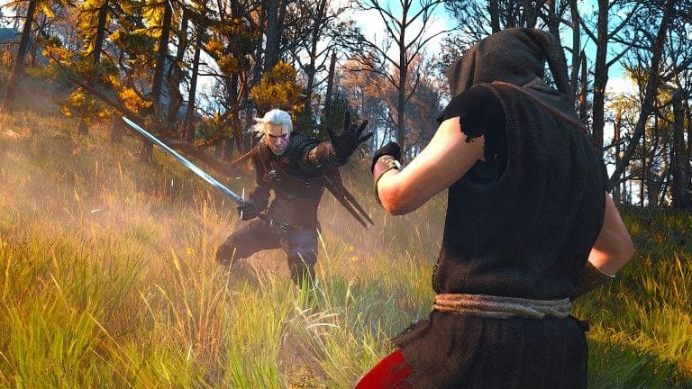 Witcher 3 : un bug délirant fait bondir les fans !