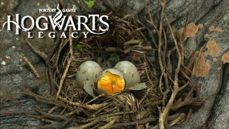 Vol d'oiseau Hogwarts Legacy : Comment entrer dans les ruines pour la quête de Poppy Sweeting ?