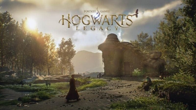 Hogwarts Legacy : Il met 40 heures à construire ce vivarium, mais le résultat est juste ouf !