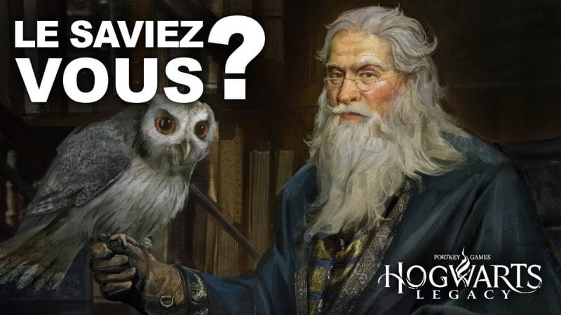 Hogwarts Legacy | 15 Découvertes FABULEUSES de la Communauté