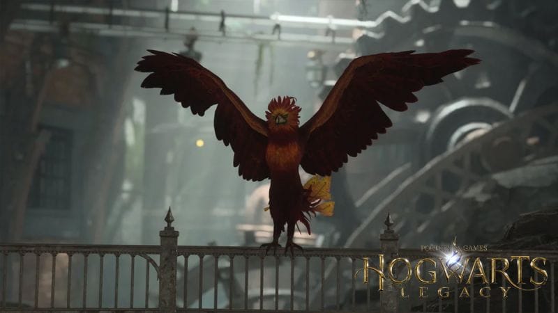 Soluce quête “Envol du Phénix” sur Hogwarts Legacy - Dexerto