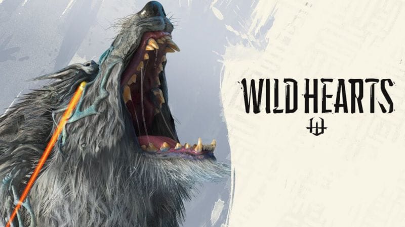 GEEKNPLAY - TEST - Wild Hearts - Home