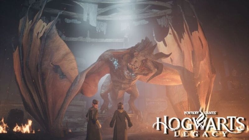 Hogwarts Legacy : "Je n'ai jamais vu ça en 60 heures de jeu", un joueur assiste à une scène complètement dingue !