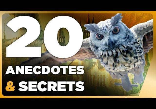 Hogwarts Legacy : 20 nouveaux secrets et anecdotes au cœur de Poudlard 🔥 JV Facts