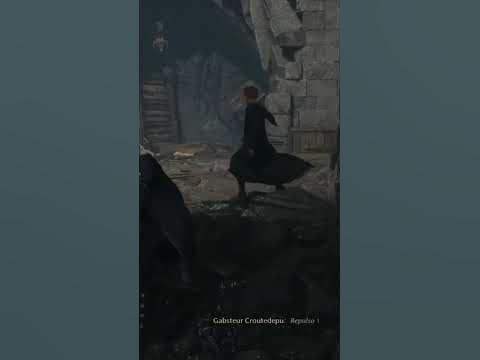#hogwartslegacy #bug Sebastian, tu fais quoi là ? #shorts #ps5